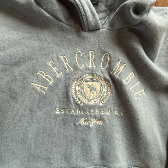 Abercrombie & Fitch Kids Hoodie - Picture 3 of 4